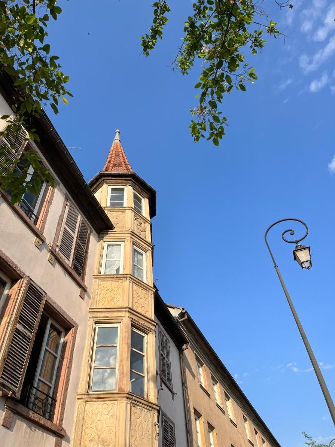 Le Baumann Concept: Appartement De Charme Dans Un Monument Historique Кольмар Екстер'єр фото
